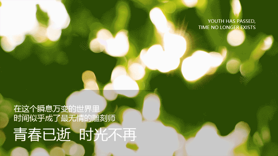 逆转时光，重塑青春之美丨NAD+银钻微雕紧致系列