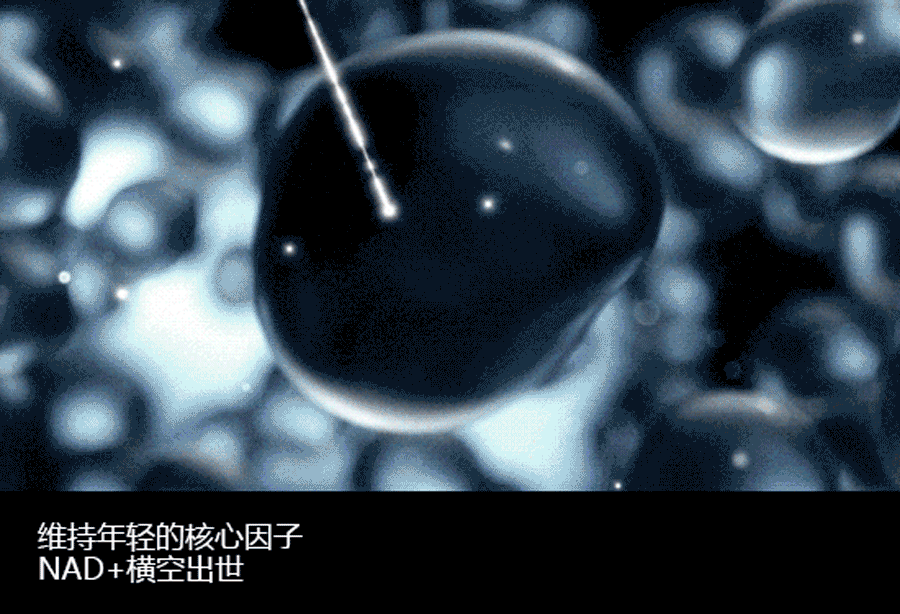 逆转时光，重塑青春之美丨NAD+银钻微雕紧致系列