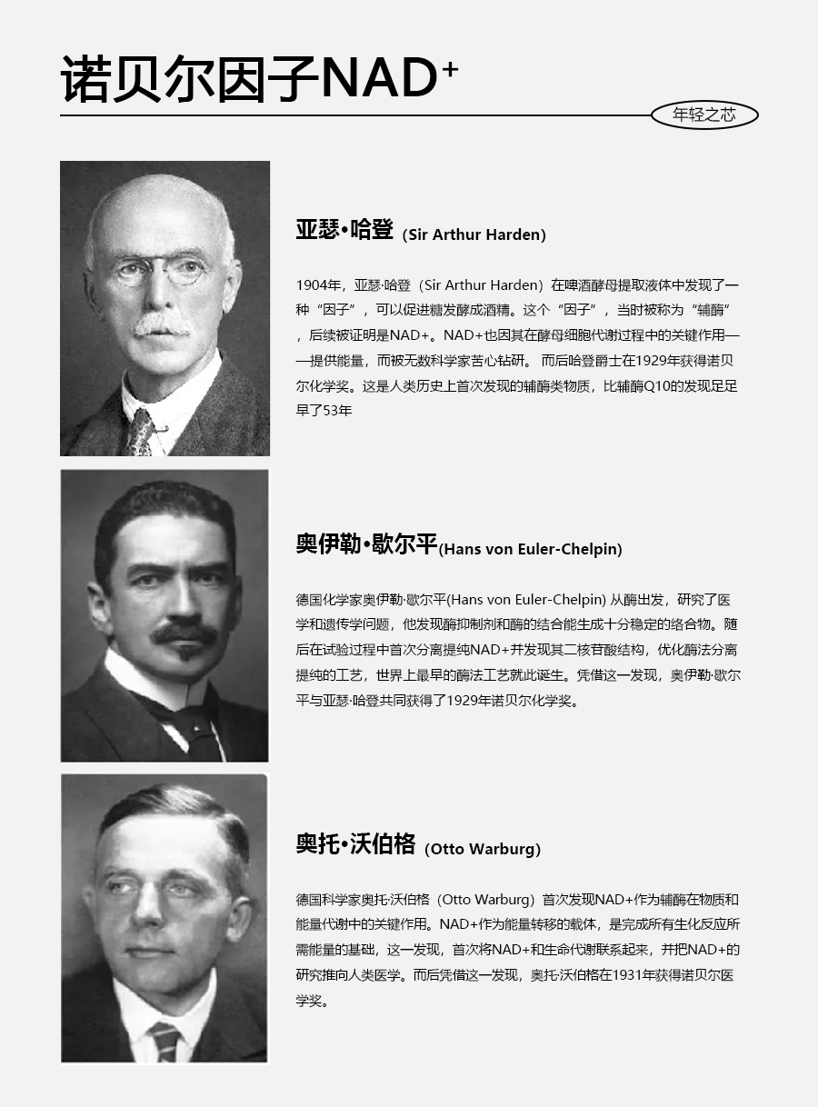 逆转时光，重塑青春之美丨NAD+银钻微雕紧致系列
