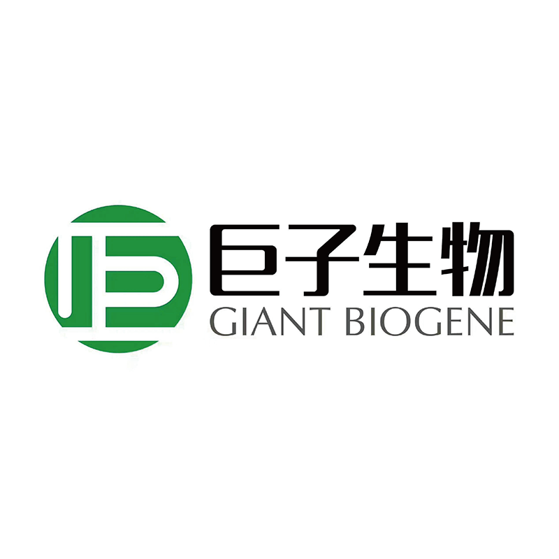 巨子